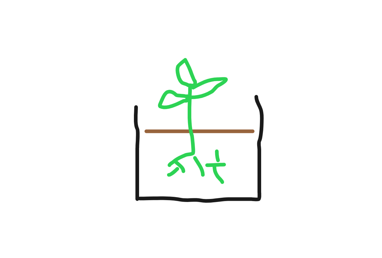 Sketch of a plant